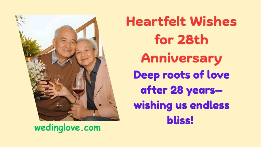Heartfelt Wishes for 28th Anniversary