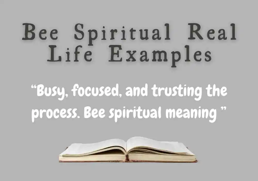 Bee Spiritual Real Life Examples