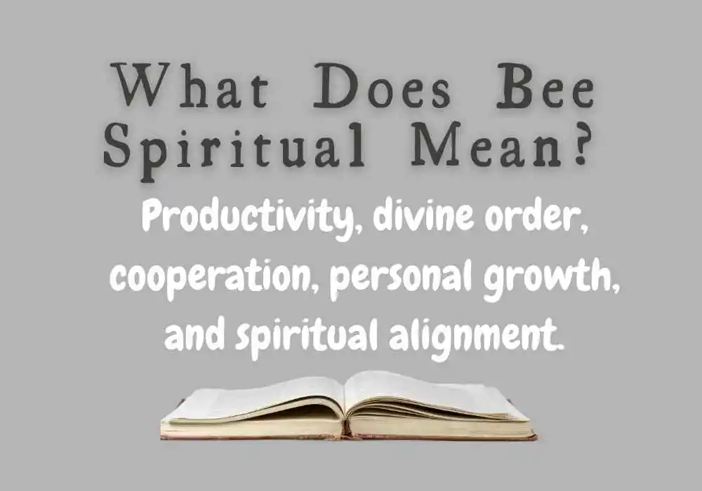 What Does Bee Spiritual Mean?
