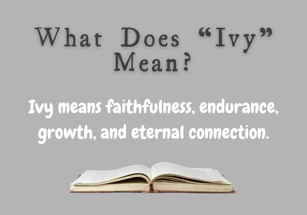 What Does “Ivy” Mean?