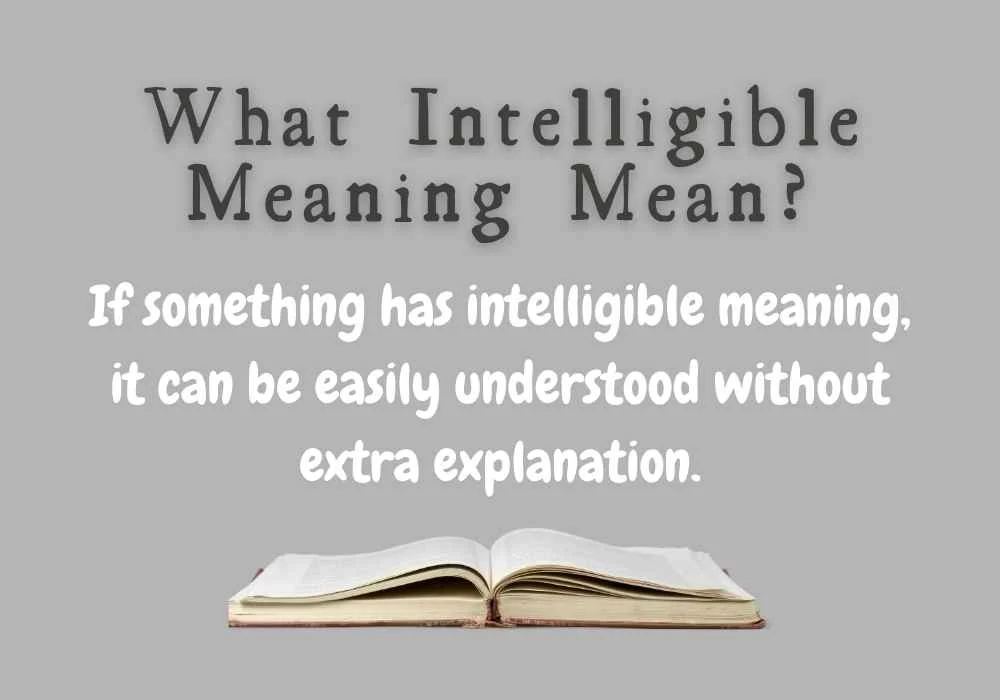 What Intelligible Meaning Mean?