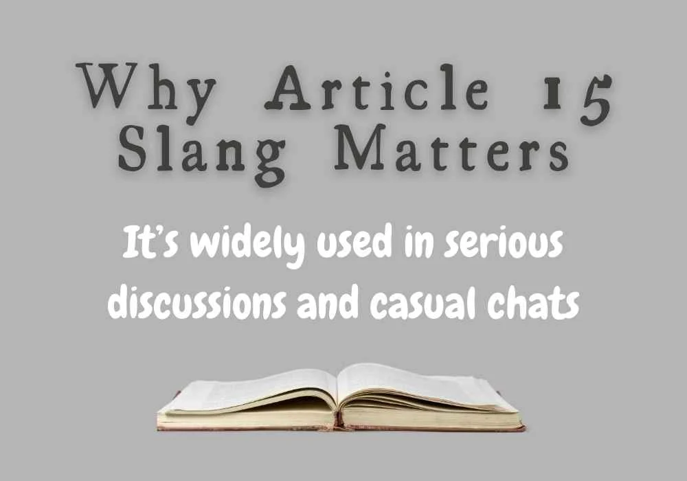 Why Article 15 Slang Matters