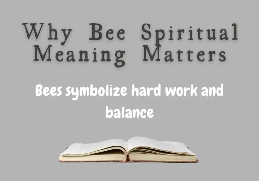 Why Bee Spiritual Meaning Matters