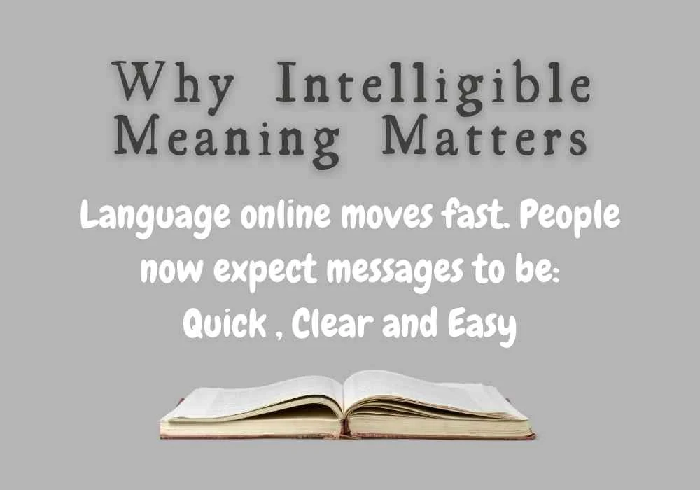 Why Intelligible Meaning Matters