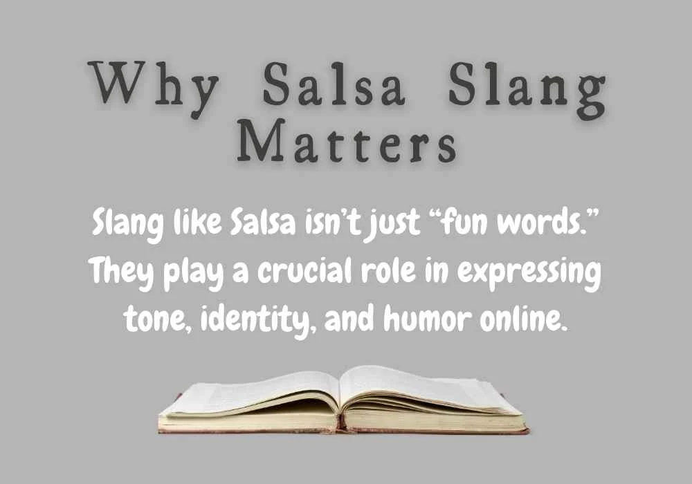Why Salsa Slang Matters