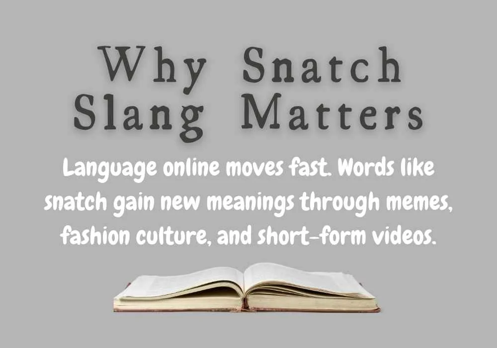 Why Snatch Slang Matters