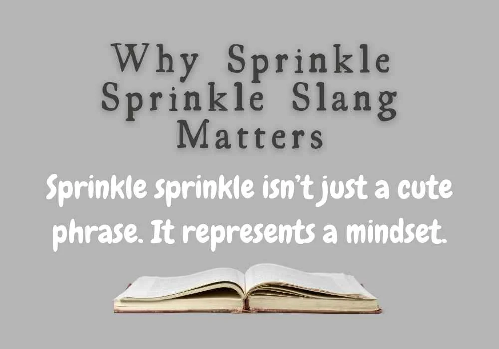 Why Sprinkle Sprinkle Slang Matters