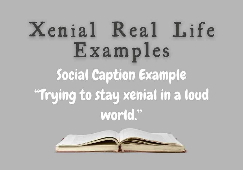 Xenial Real Life Examples