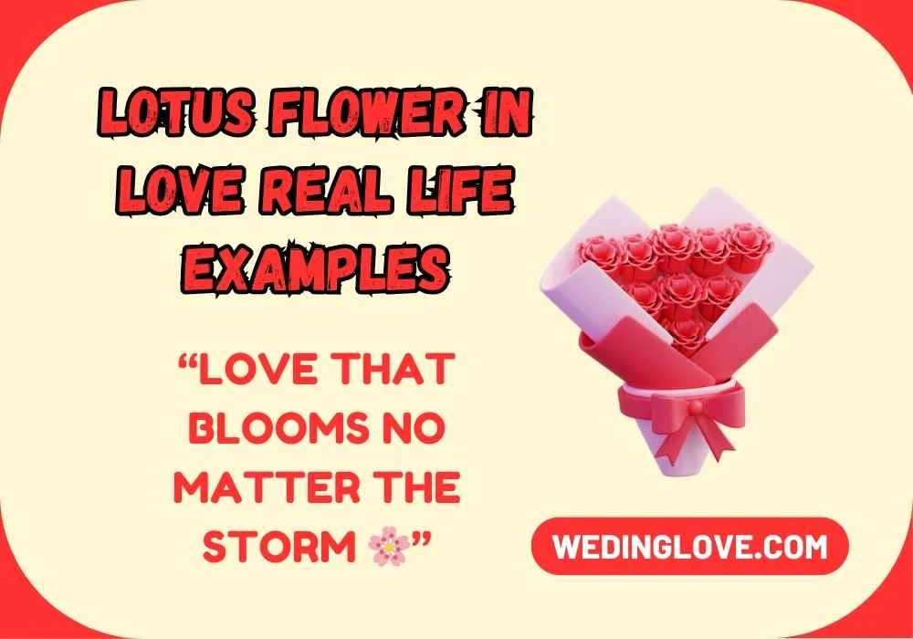 Lotus Flower in Love Real Life Examples