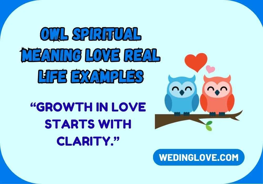Owl Spiritual Meaning Love Real Life Examples