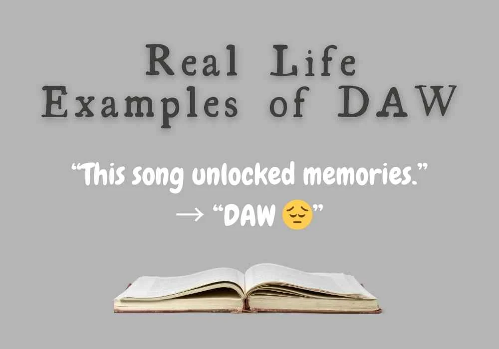 Real Life Examples of DAW