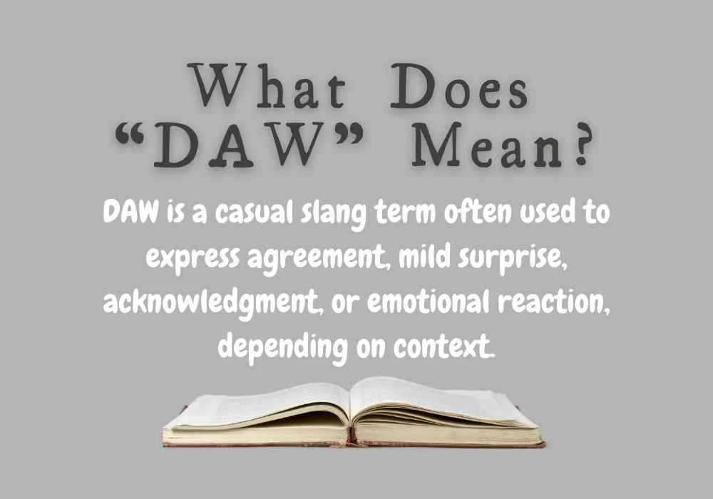 What Does “DAW” Mean?