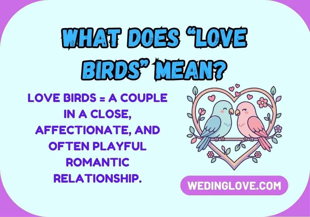What Does “Love Birds” Mean?