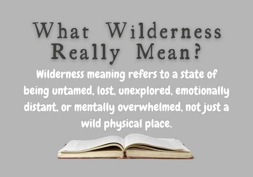 What Wilderness Really Mean?