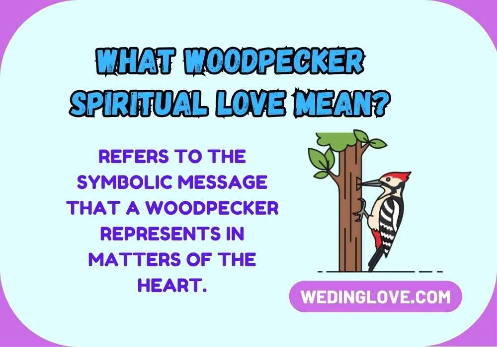 What Woodpecker Spiritual Love Mean?