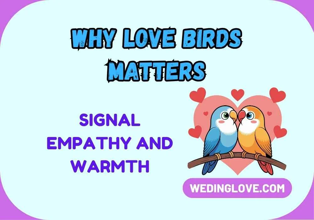 Why Love Birds Matters