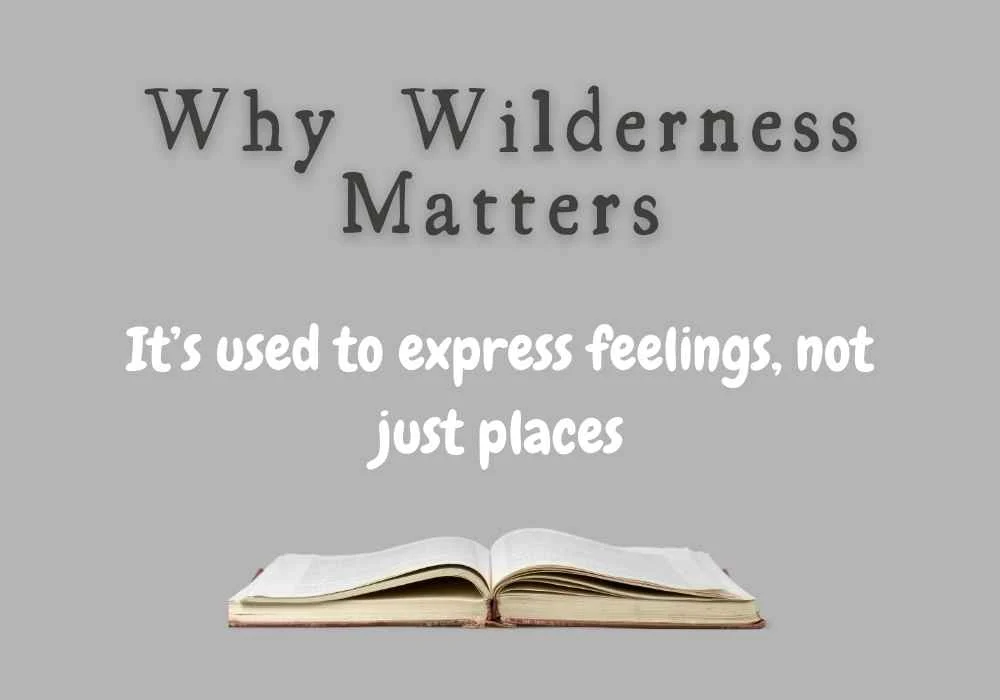 Why Wilderness Matters