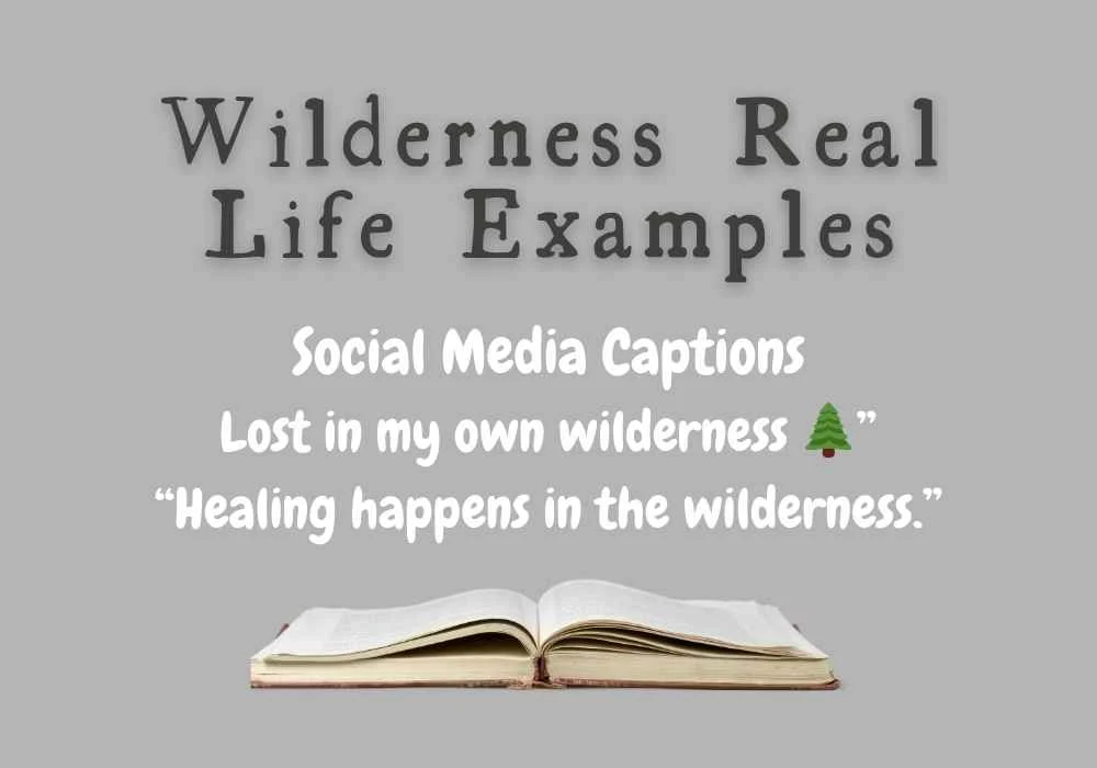 Wilderness Real Life Examples