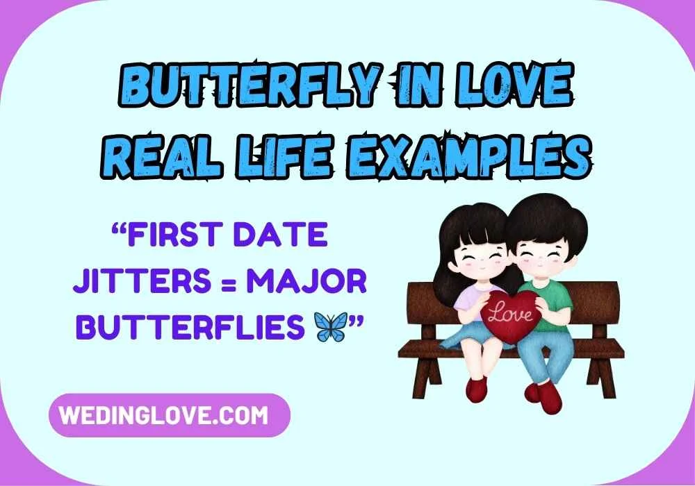 Butterfly in Love Real Life Examples