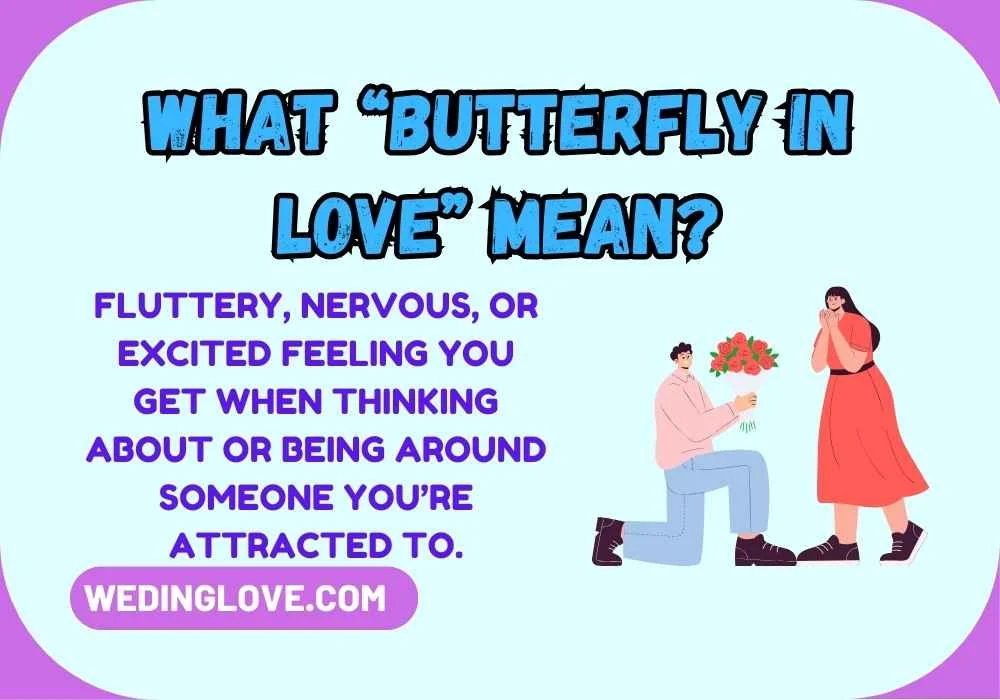 What “Butterfly in Love” Mean?
