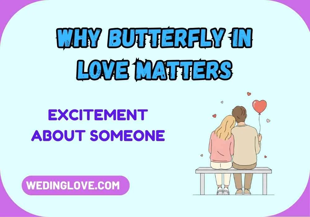 Why Butterfly in Love Matters