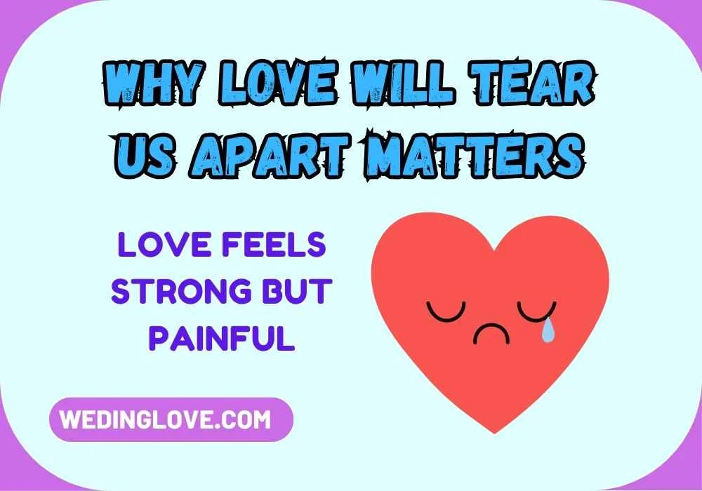 Why Love Will Tear Us Apart Matters
