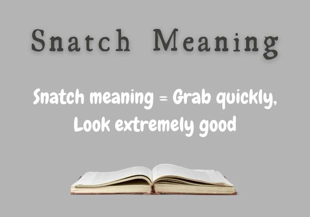 Snatch Meaning