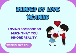 Blinded by Love Meaning