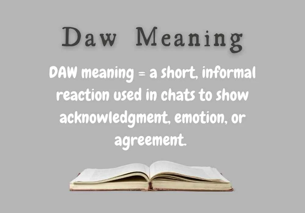 daw meaning