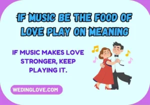 If Music Be the Food of Love Play On Meaning