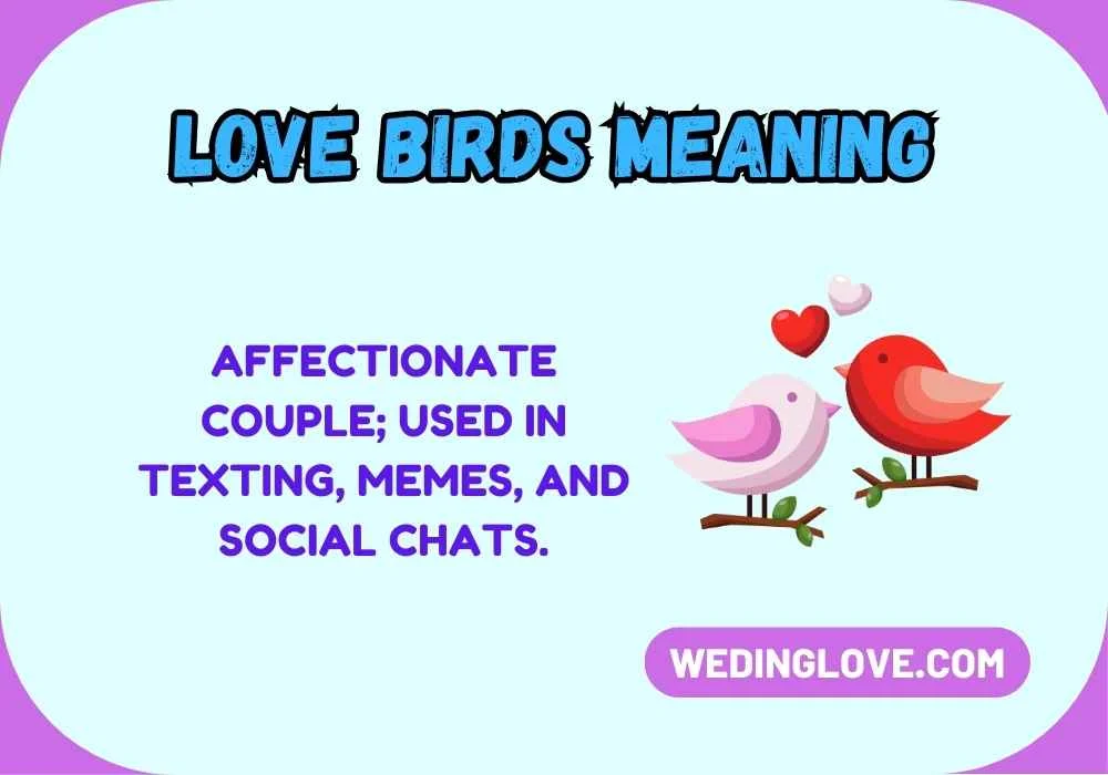 Love Birds Meaning