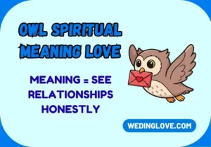 Owl Spiritual Meaning Love