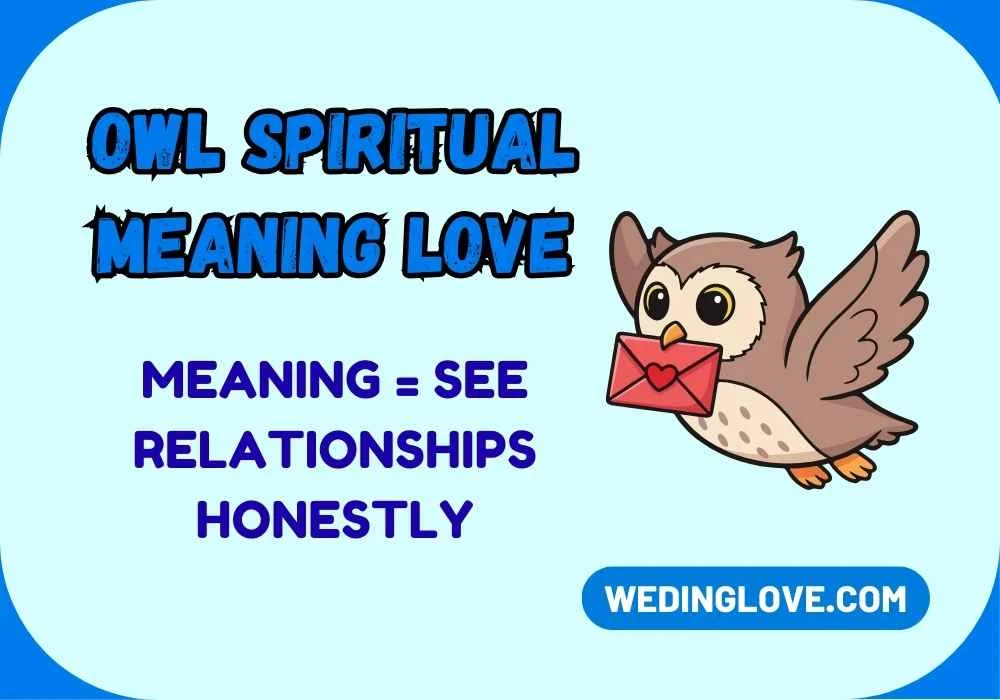 Owl Spiritual Meaning Love