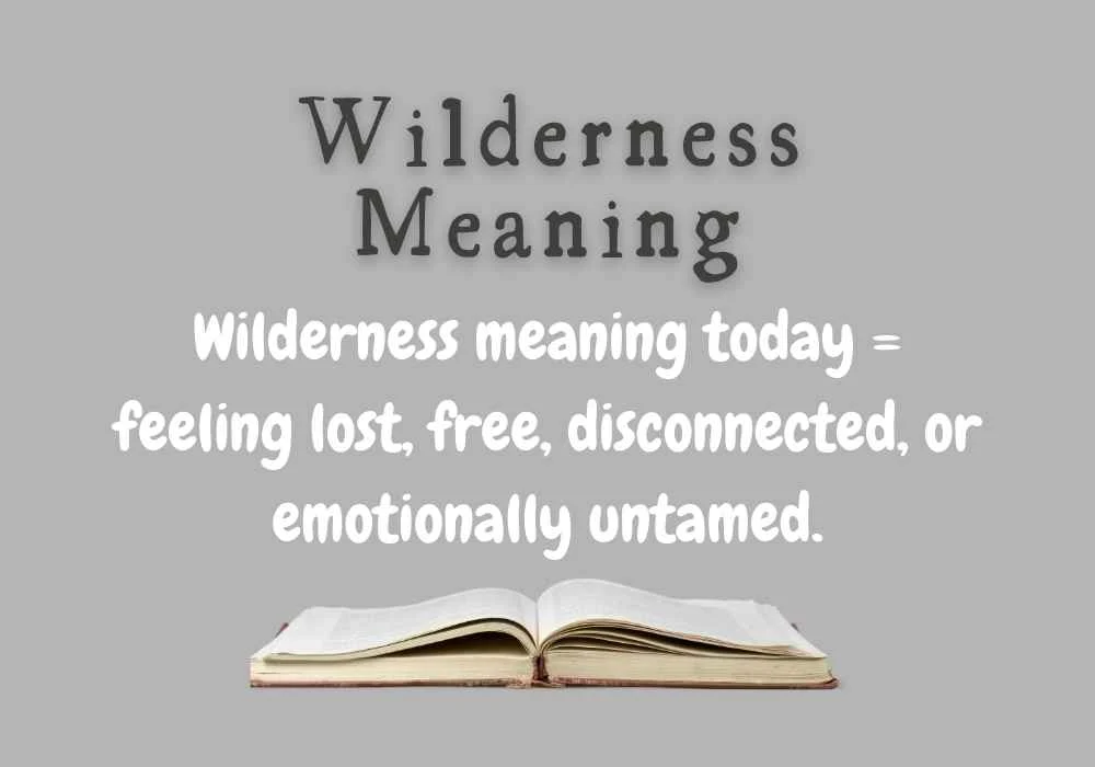 Wilderness Meaning