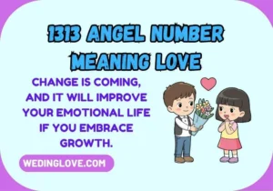 1313 Angel Number Meaning Love