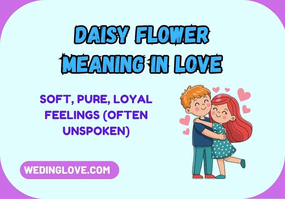 Daisy Flower Meaning in Love