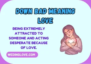 Down Bad Meaning Love