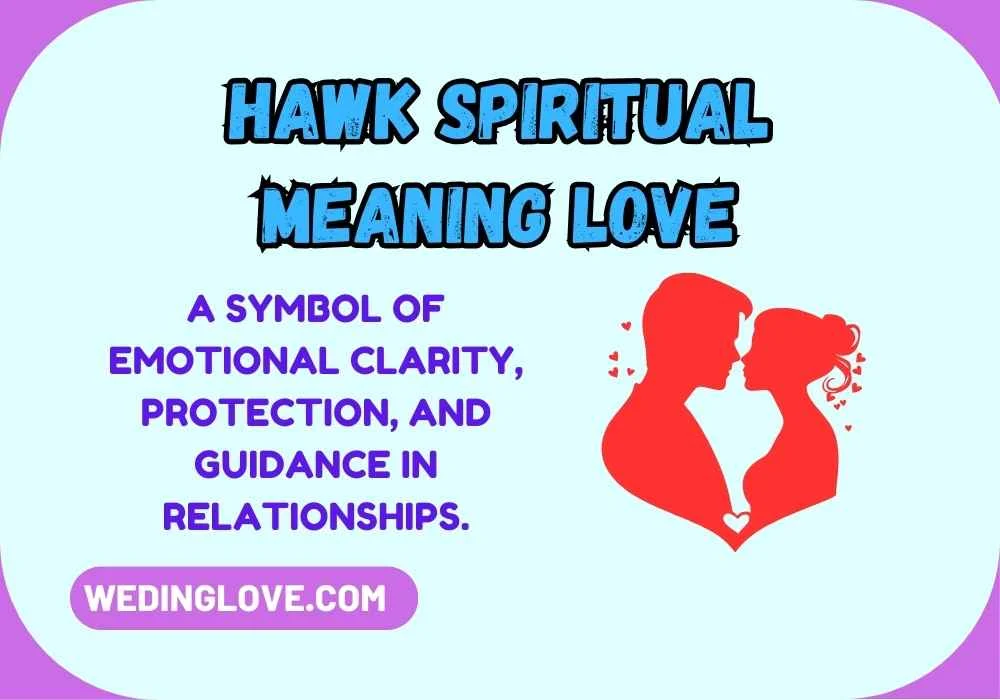 Hawk Spiritual Meaning Love