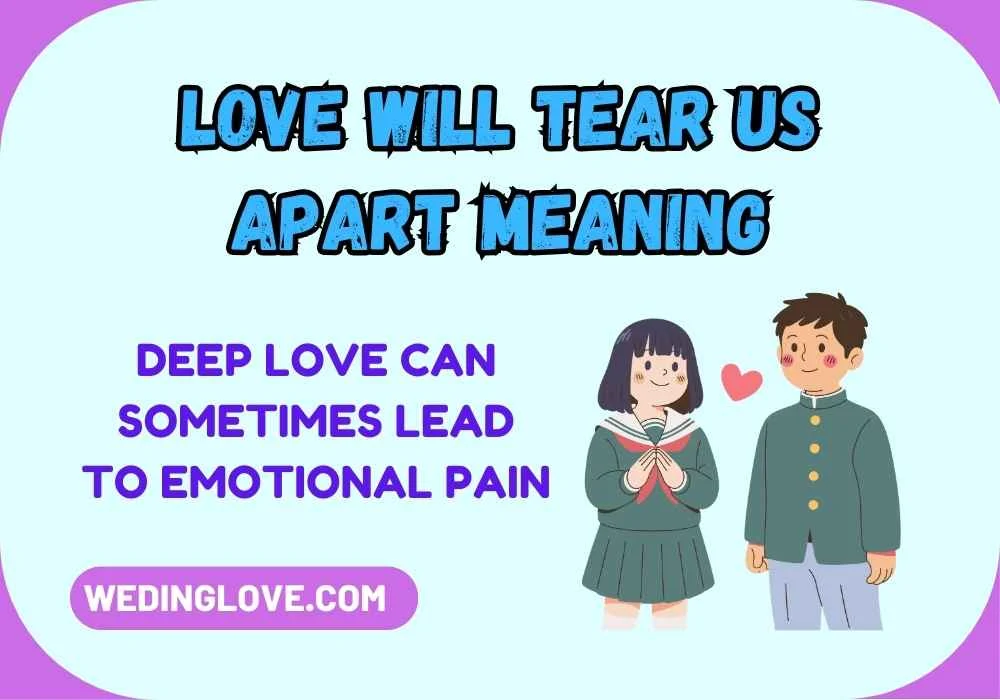 Love Will Tear Us Apart Meaning